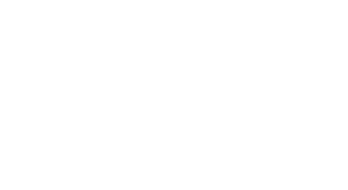 falcon1