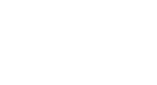 viatel1